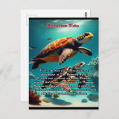 ハワイアンアイランズオアフアロハ ポストカード (正面/裏面)