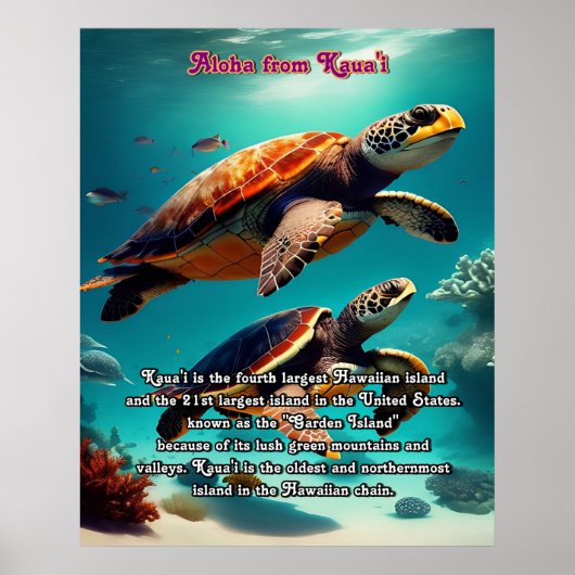 ハワイアンアイランドカウアイアロハ ポスター (正面)