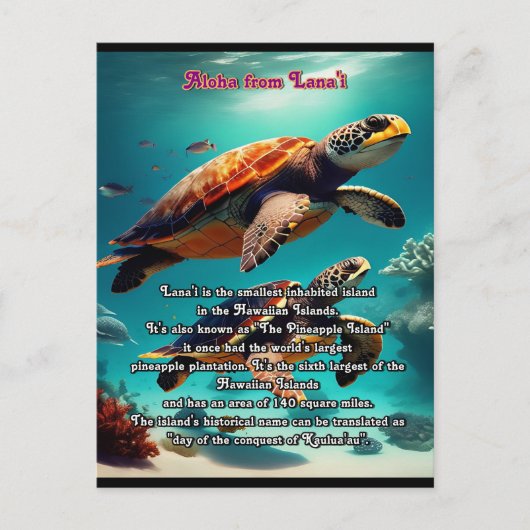 ハワイアンアイランドラナイアロハ ポストカード (正面)