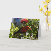 ハワイアンイウィー カード (黄色い花)