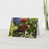 ハワイアンイウィー カード (正面)