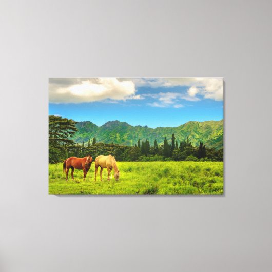 ハワイアンウマ、ホクレピーク、カウアイ、ハワイ キャンバスプリント (正面)