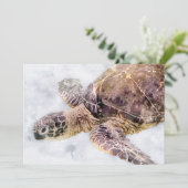 ハワイアンウミガメリアル水彩 カード (スタンド正面)