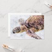 ハワイアンウミガメリアル水彩 カード (正面/裏面インサイチュ)