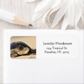 ハワイアンウミガメ住所 シール (インサイチュ)