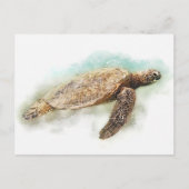 ハワイアンウミガメ水彩 ポストカード (正面)