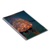 ハワイアンウミガメ ノートブック (右側)