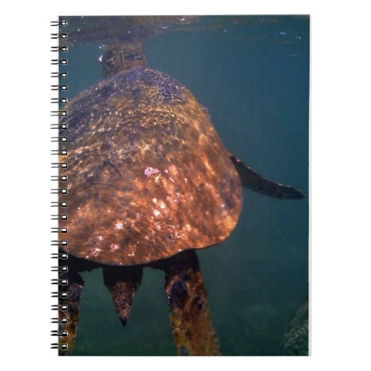 ハワイアンウミガメ ノートブック (正面)