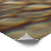 ハワイアンウミガメ ポスター (角)