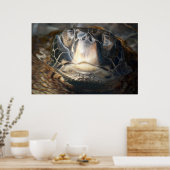 ハワイアンウミガメ ポスター (キッチン)