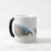 ハワイアンウミガメ モーフィングマグカップ (正面左)