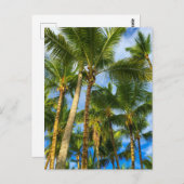 ハワイアンエキゾチックビーチパームツリーズ ポストカード (正面/裏面)