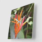 ハワイアンオレンジバードオブパラダイスフラワー スクエア壁時計 (傾斜)