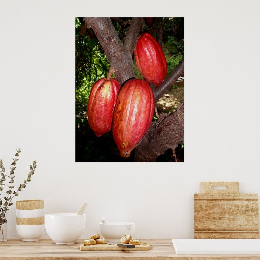 ハワイアンカカオポッド ポスター (キッチン)