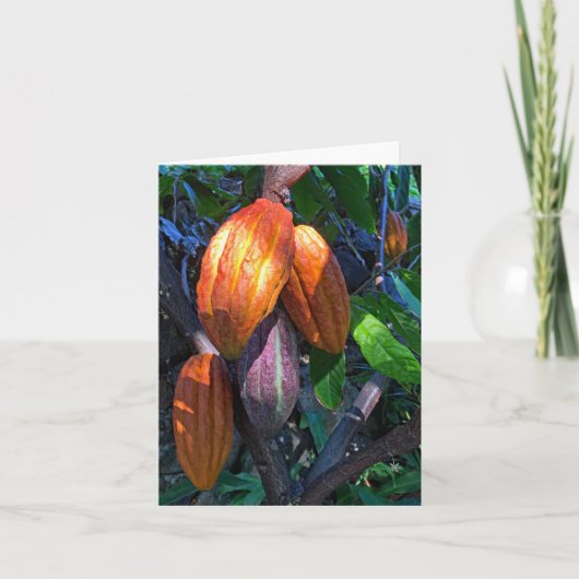 ハワイアンカソー カード (正面)