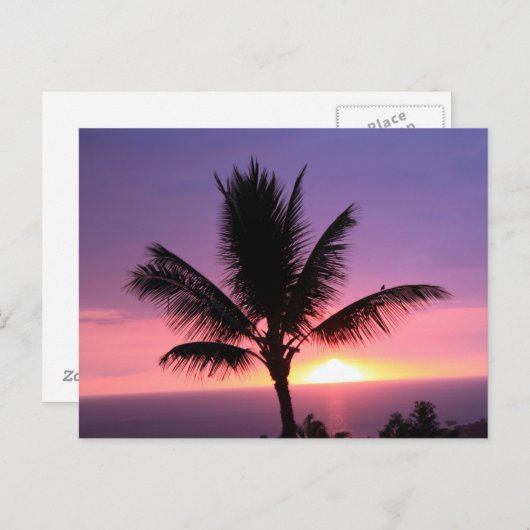 ハワイアンカラフルサンセットとパームポストカード ポストカード (正面/裏面)