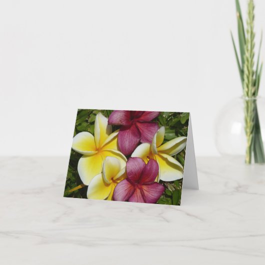 ハワイアンカラフルプルミアス折り畳みグリーティングカード カード (正面)
