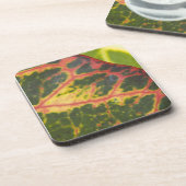 ハワイアンカラフル植物 コースター (左側)