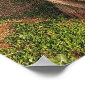 ハワイアンキーウツリーポスター ポスター (角)