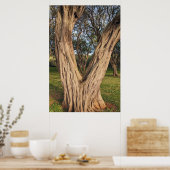 ハワイアンキーウツリーポスター ポスター (キッチン)