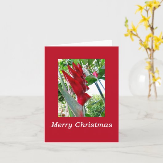 ハワイアンクリスマス カード (黄色い花)