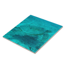 ハワイアングリーンシーカメ タイル