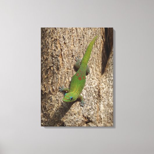 ハワイアンゲッコかわいいアウトドア熱帯風光明媚なキャンバス キャンバスプリント (正面)