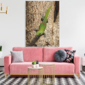 ハワイアンゲッコかわいいアウトドア熱帯風光明媚なキャンバス キャンバスプリント (インサイチュ (リビング))