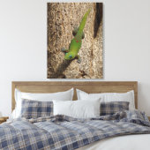 ハワイアンゲッコかわいいアウトドア熱帯風光明媚なキャンバス キャンバスプリント (インサイチュ (寝室))