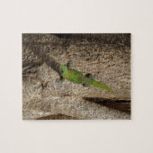 ハワイアンゲッコ熱帯パズル ジグソーパズル (横)
