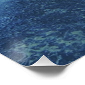 ハワイアンゲッコ ポスター (コーナー)