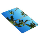 ハワイアンココナッツツリーズフォトマグネット マグネット (右側)