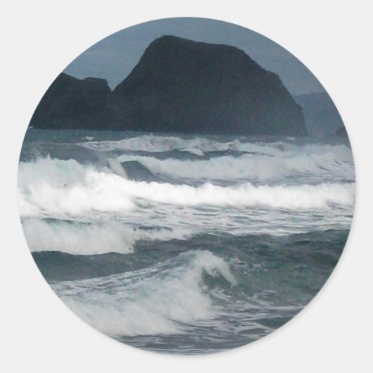 ハワイアンコースタルアイランド海トロピカルパラダイス ラウンドシール (正面)