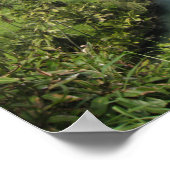 ハワイアンコーストポスター ポスター (角)