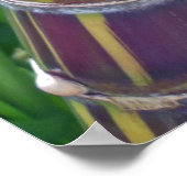 ハワイアンサトウキビ ポスター (角)