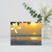 ハワイアンサーファー ポストカード (スタンド正面)