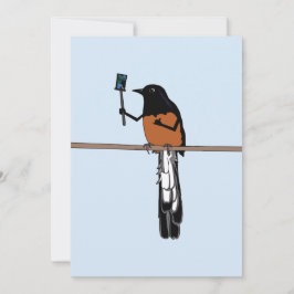 ハワイアンシャマバードセルフィー シーズンカード