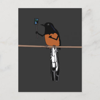 ハワイアンシャマバードセルフィー ポストカード