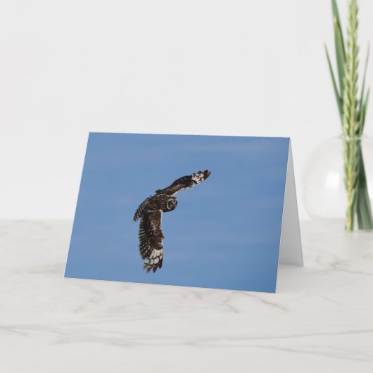 ハワイアンショートピアドプエオソアリング カード (正面)