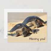 ハワイアンシータートルズはがき ポストカード (正面/裏面)