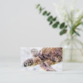 ハワイアンシータートルリアルウォーターカラー 名刺 (スタンド正面)