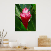 ハワイアンジンジャー ポスター (キッチン)