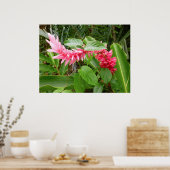 ハワイアンジンジャー ポスター (キッチン)