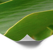 ハワイアンジンジャー ポスター (角)