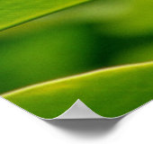 ハワイアンジンジャー ポスター (角)