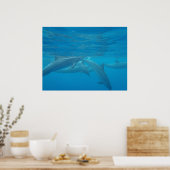 ハワイアンスピナーイルカ水中ポスター ポスター (キッチン)