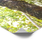 ハワイアンチキス ポスター (角)