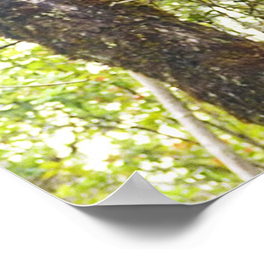 ハワイアンチキス ポスター (角)