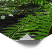 ハワイアンツリーシダ ポスター (角)