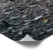 ハワイアンハイキングトレイルポスター ポスター (角)